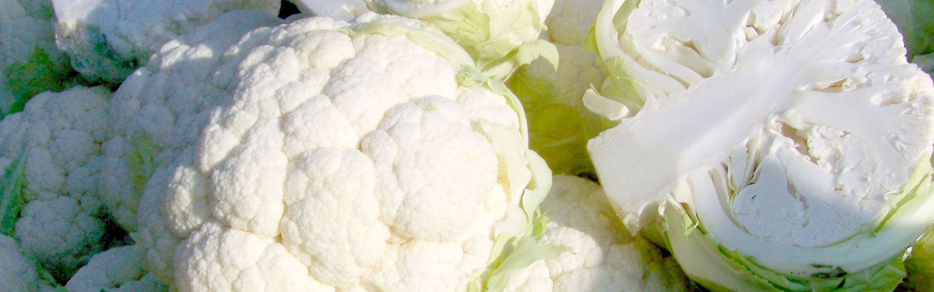 Bloemkool banner