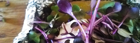 Gepofte aardappel met crème fraîche