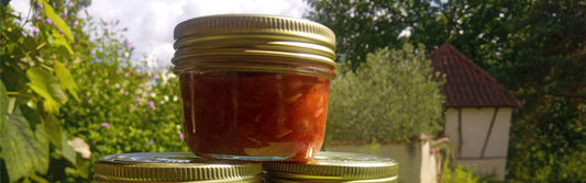 Gember pruimen chutney