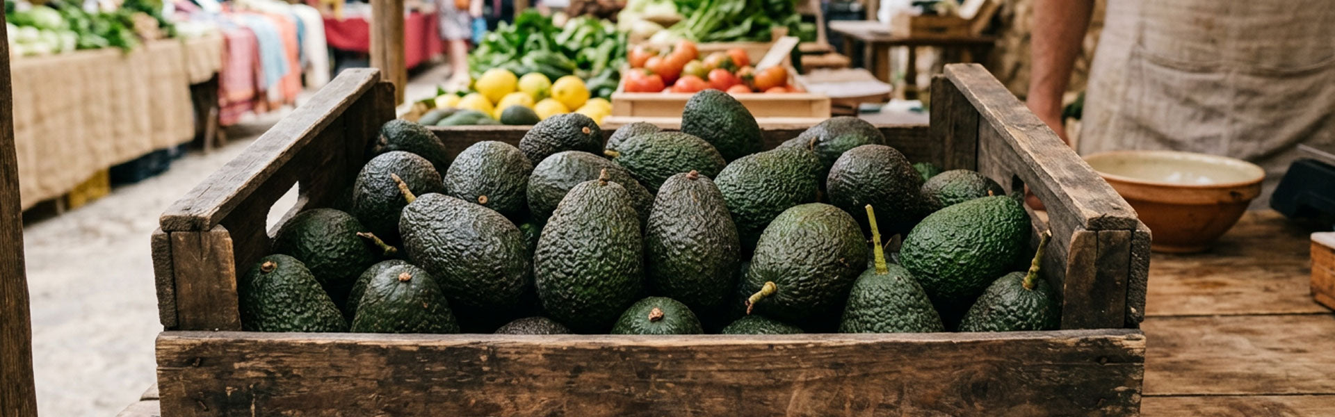 Avocado