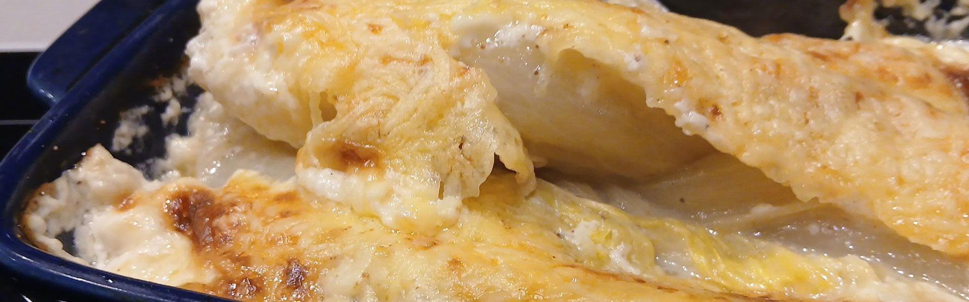 Gegratineerde witlof uit de oven