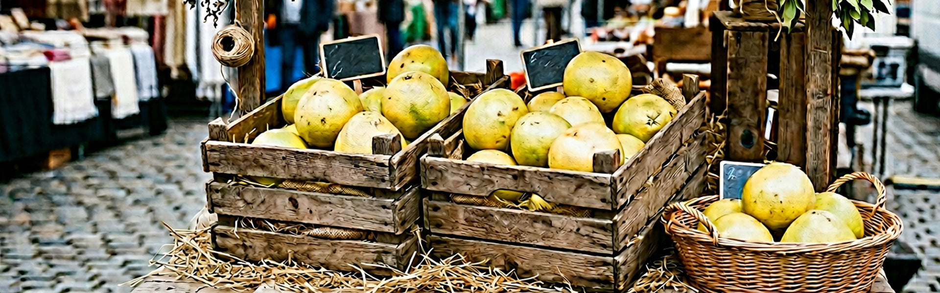 Pomelo