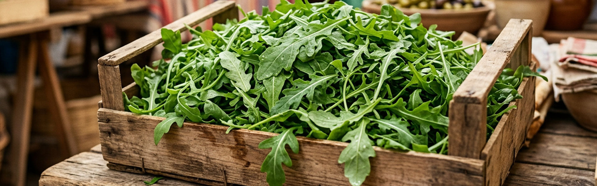 Rucola