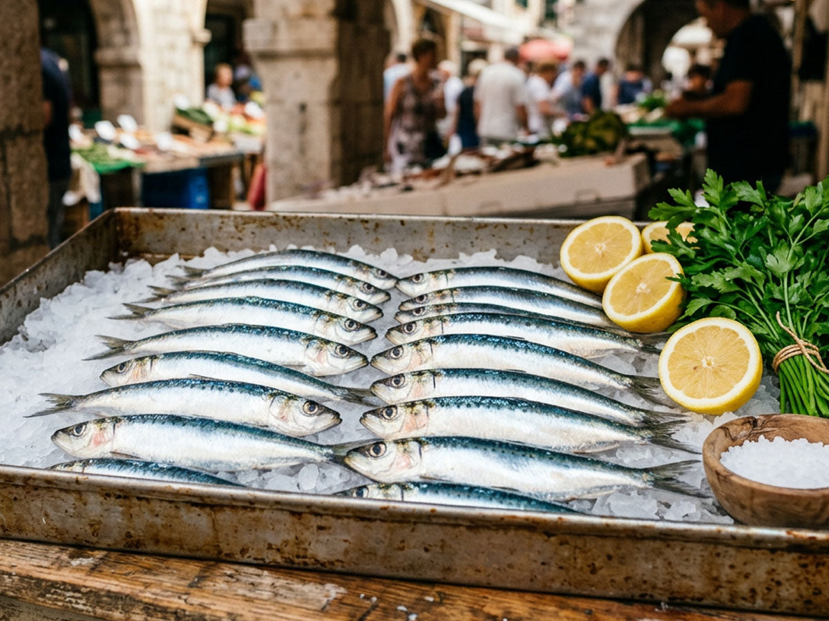 Sardine