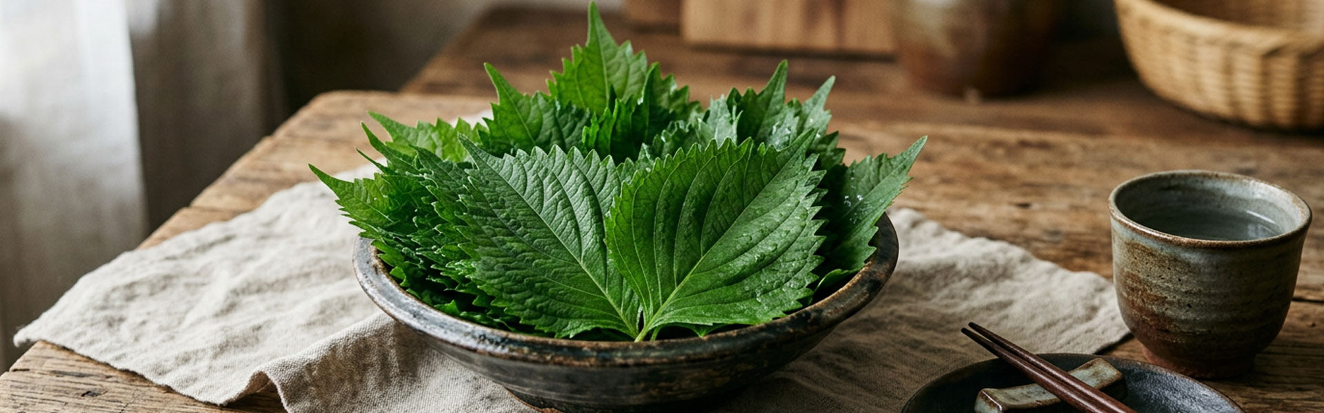 Shiso